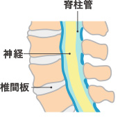 骨や筋肉や神経の病気